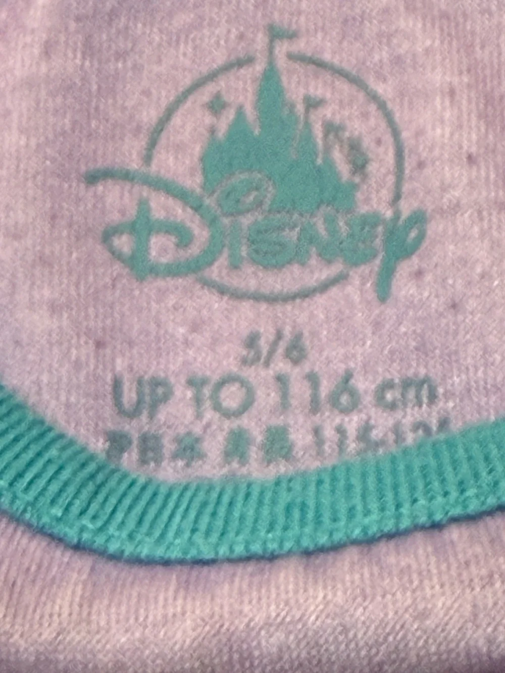 Disney Frozen Anna and Elsa Long Sleeve Nightgown
